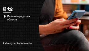 Автоматическую проверку утечки данных запускает t2